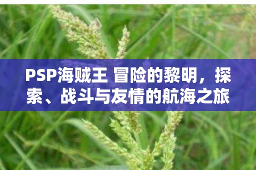 PSP海贼王 冒险的黎明，探索、战斗与友情的航海之旅