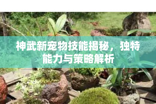 神武新宠物技能揭秘，独特能力与策略解析