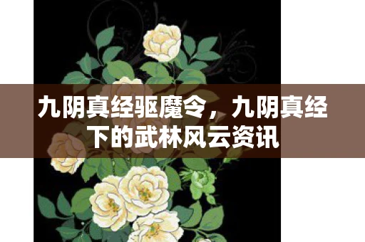 九阴真经驱魔令，九阴真经下的武林风云资讯