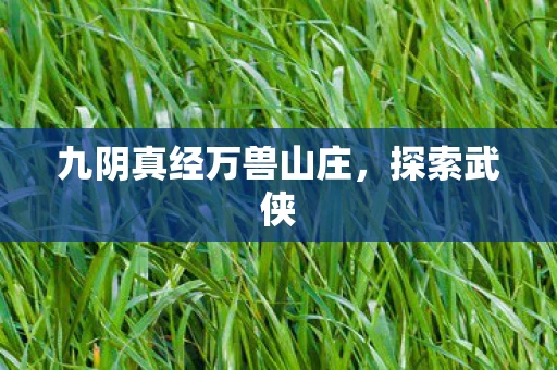 九阴真经万兽山庄，探索武侠