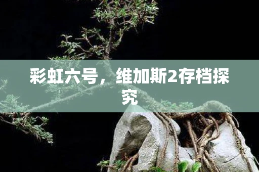 彩虹六号，维加斯2存档探究