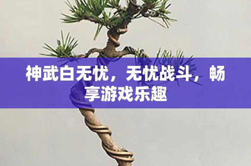 神武白无忧，无忧战斗，畅享游戏乐趣