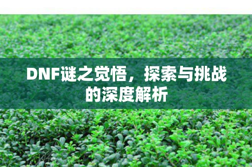DNF谜之觉悟，探索与挑战的深度解析
