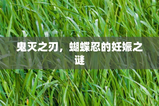 鬼灭之刃，蝴蝶忍的妊娠之谜