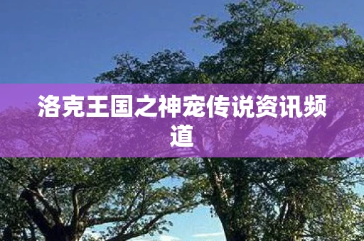 洛克王国之神宠传说资讯频道