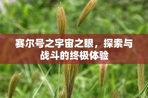 赛尔号之宇宙之眼，探索与战斗的终极体验