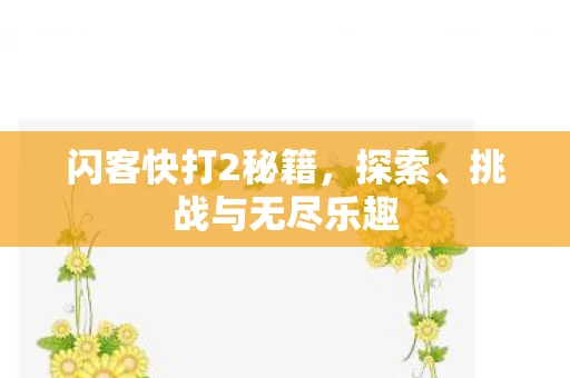 闪客快打2秘籍，探索、挑战与无尽乐趣