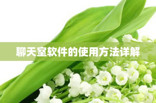 聊天室软件的使用方法详解 聊天室软件的使用方法详解