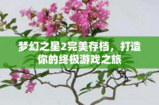 梦幻之星2完美存档，打造你的终极游戏之旅
