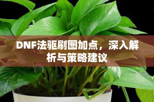 DNF法驱刷图加点，深入解析与策略建议