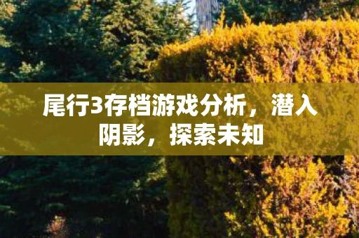 尾行3存档游戏分析，潜入阴影，探索未知