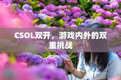 CSOL双开，游戏内外的双重挑战