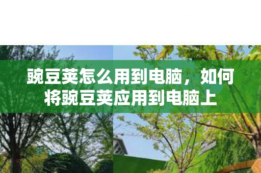 豌豆荚怎么用到电脑，如何将豌豆荚应用到电脑上