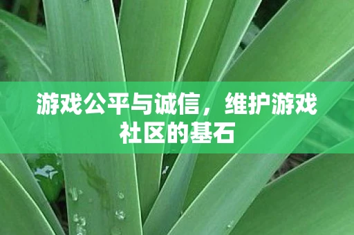 游戏公平与诚信，维护游戏社区的基石