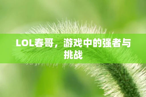 LOL春哥，游戏中的强者与挑战