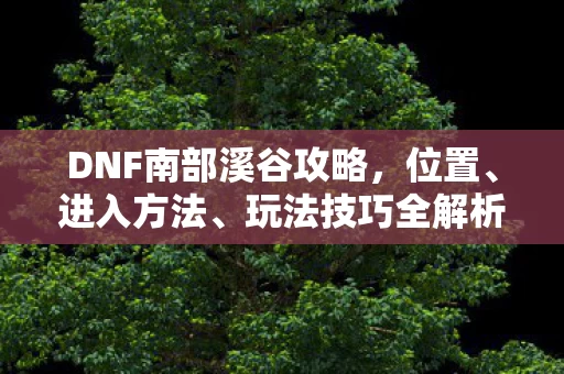DNF南部溪谷攻略，位置、进入方法、玩法技巧全解析