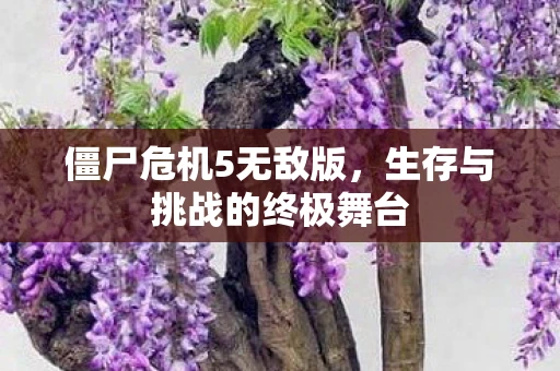 僵尸危机5无敌版，生存与挑战的终极舞台