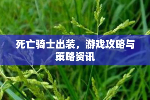 死亡骑士出装，游戏攻略与策略资讯
