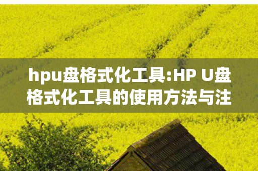 hpu盘格式化工具:HP U盘格式化工具的使用方法与注意事项