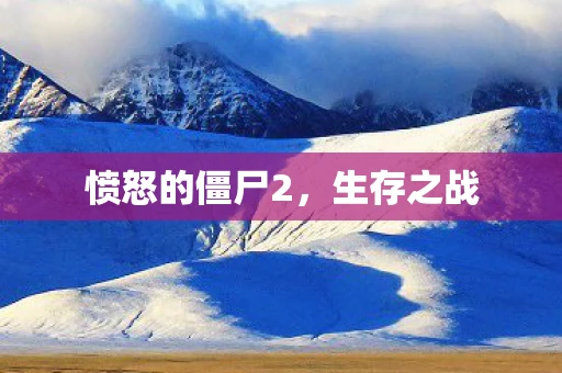 愤怒的僵尸2，生存之战