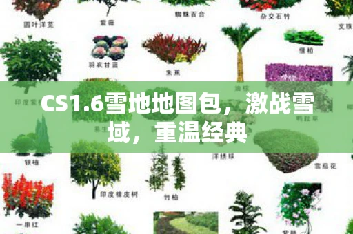 CS1.6雪地地图包，激战雪域，重温经典