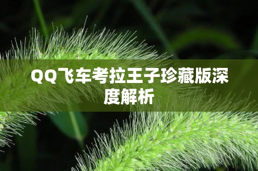QQ飞车考拉王子珍藏版深度解析
