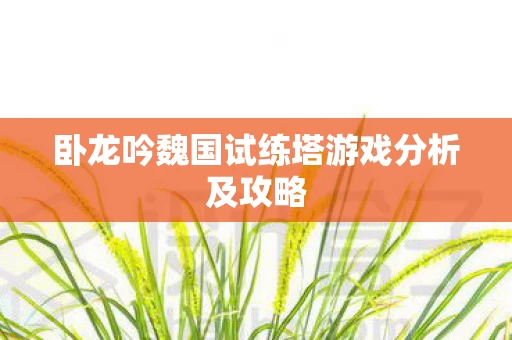 卧龙吟魏国试练塔游戏分析及攻略图片