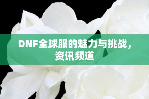 DNF全球服的魅力与挑战，资讯频道