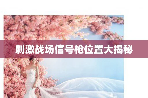 刺激战场信号枪位置大揭秘