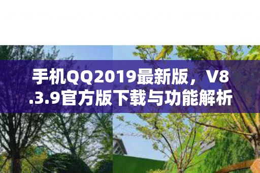 手机QQ2019最新版，V8.3.9官方版下载与功能解析