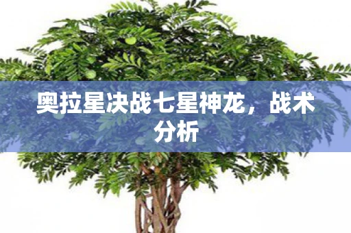 奥拉星决战七星神龙，战术分析