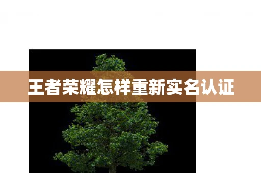王者荣耀怎样重新实名认证