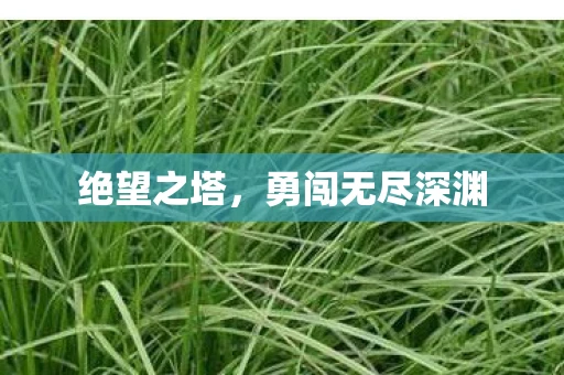 绝望之塔，勇闯无尽深渊