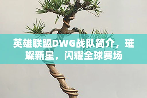 英雄联盟DWG战队简介，璀璨新星，闪耀全球赛场