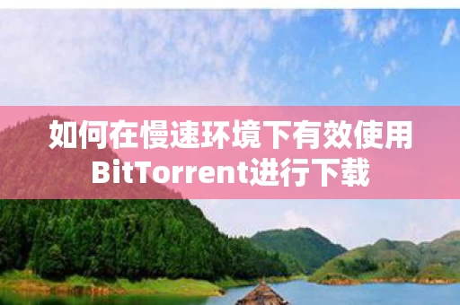 如何在慢速环境下有效使用BitTorrent进行下载图片