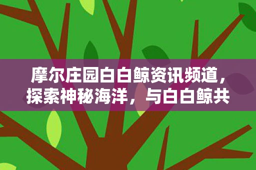 摩尔庄园白白鲸资讯频道，探索神秘海洋，与白白鲸共舞