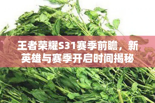 王者荣耀S31赛季前瞻，新英雄与赛季开启时间揭秘