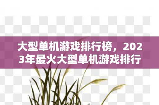 大型单机游戏排行榜，2023年最火大型单机游戏排行榜