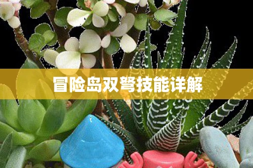 冒险岛双弩技能详解