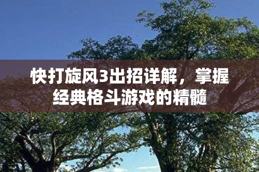 快打旋风3出招详解，掌握经典格斗游戏的精髓