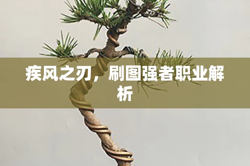 刷图强者职业解析图片