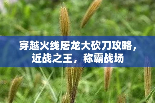 穿越火线屠龙大砍刀攻略，近战之王，称霸战场