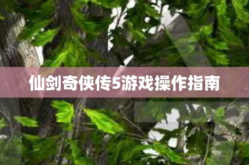仙剑奇侠传5游戏操作指南