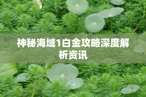 神秘海域1白金攻略深度解析资讯