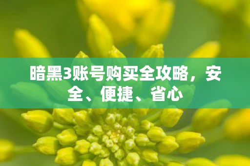 暗黑3账号购买全攻略，安全、便捷、省心