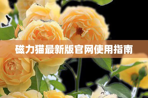 磁力猫最新版官网使用指南图片