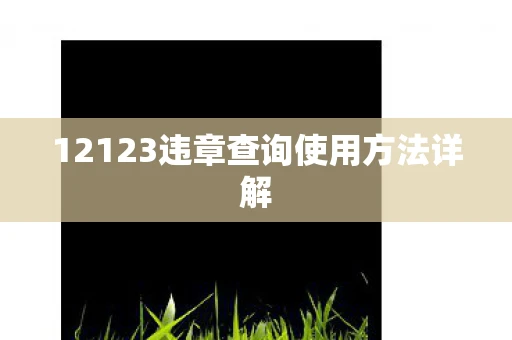 12123违章查询使用方法详解