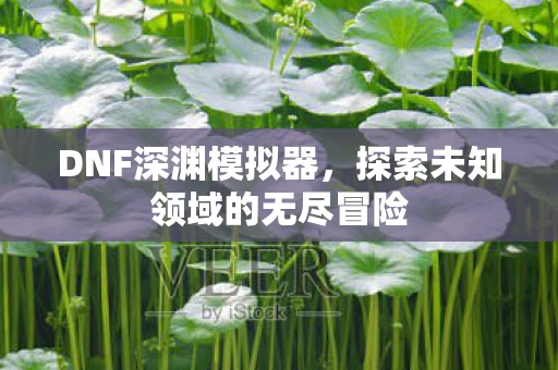 DNF深渊模拟器，探索未知领域的无尽冒险