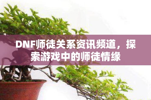 DNF师徒关系资讯频道，探索游戏中的师徒情缘