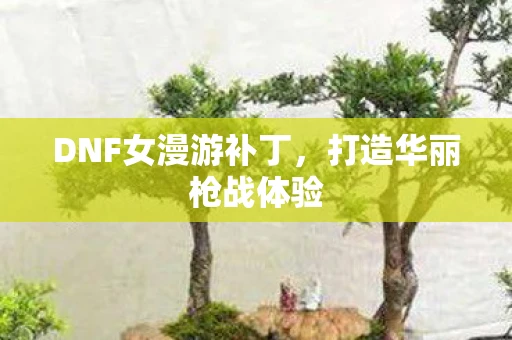 DNF女漫游补丁，打造华丽枪战体验